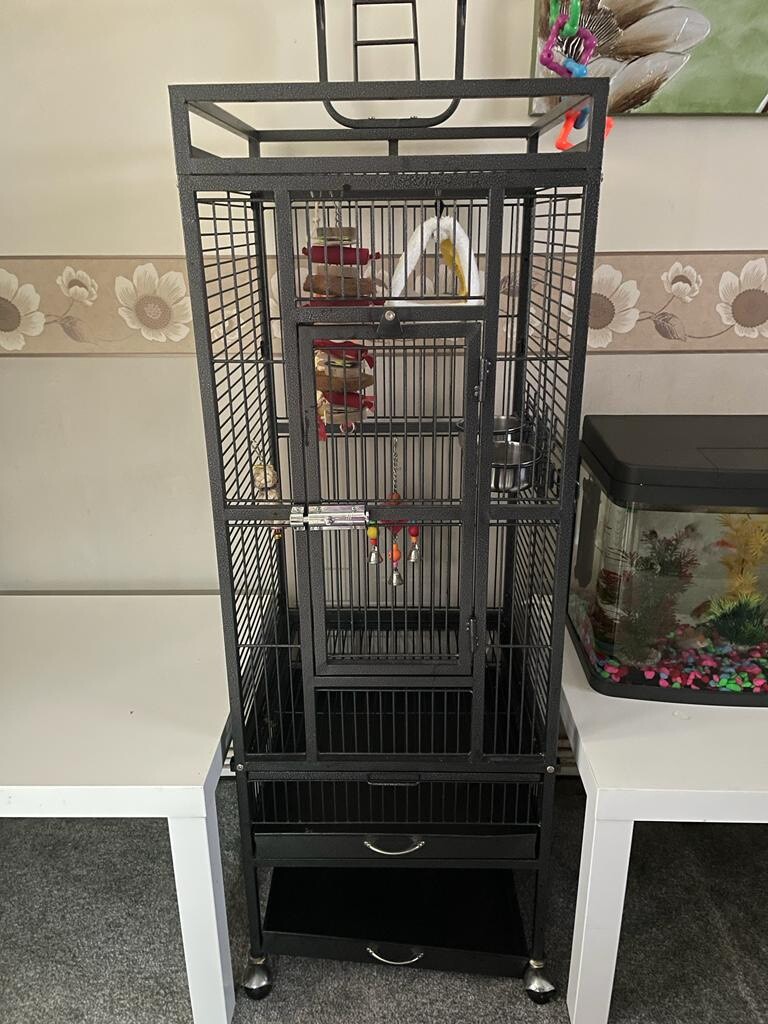 parrot cages for sale gumtree